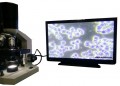 Mikroskop LBA Darkfield (Digimi SME-F2MT) Murah